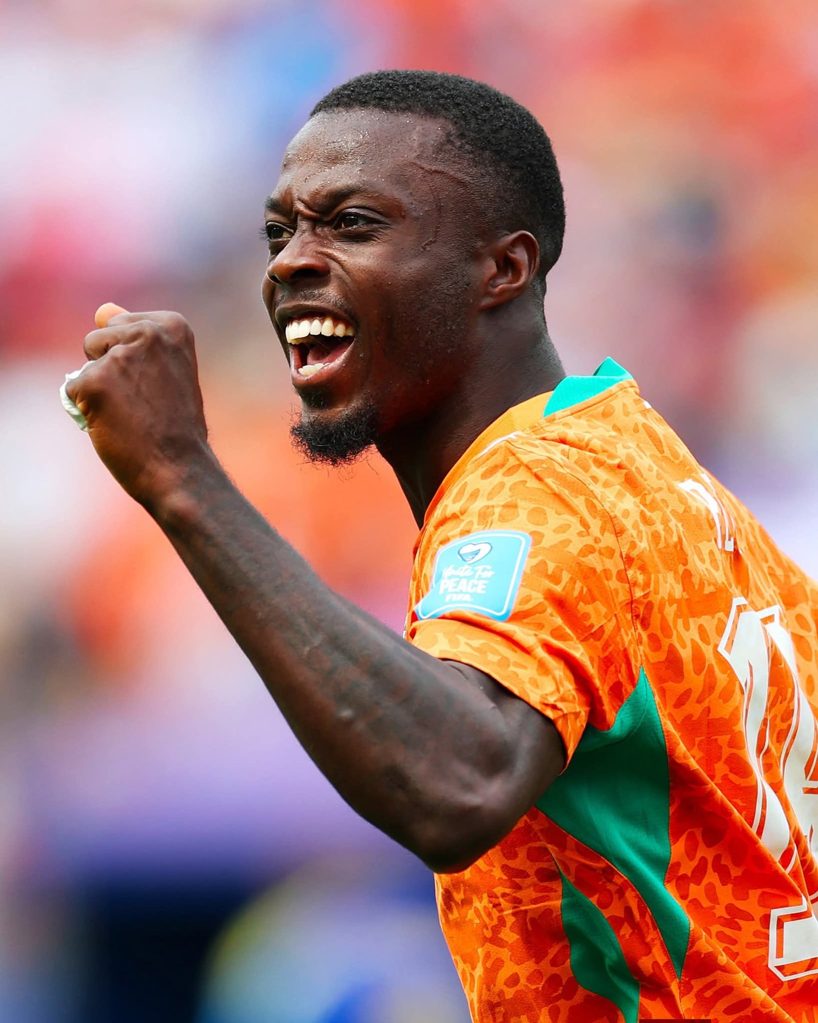 Historique Victoire des Eléphants de la Côte d&rsquo;Ivoire